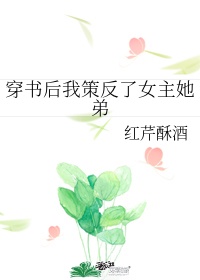 史上第一掌门txt