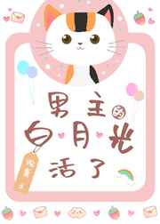 久久爱视频