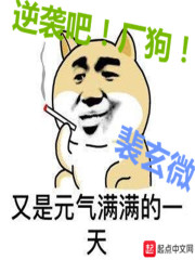 官路鸿途