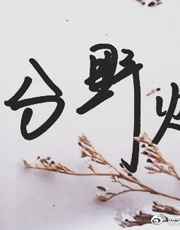 可爱合集完整版txt下载