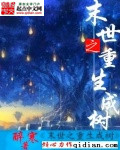布拉芙夫人完整版