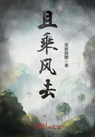 星际穿越 bt