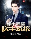 我的英雄学院之万磁王