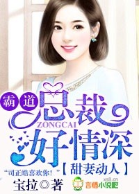 射雕之陆冠英传