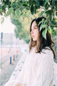 谷原希美所有作品