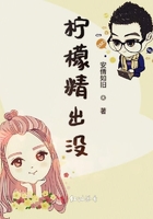 刘雪刘成当代爱情小说免费阅读