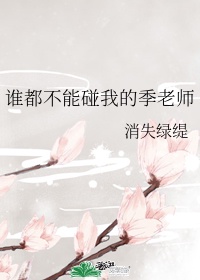 上错花轿嫁对郎全集免费观看