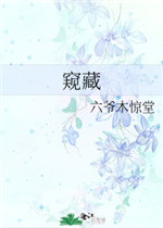 h激情小说