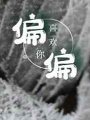 向来缘浅奈何情深