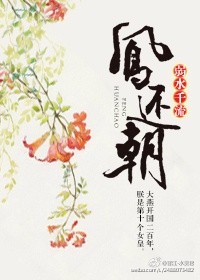 高hbl文
