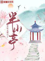 乡村无敌小兽医小说