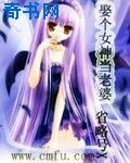 李小龙精武门完整版