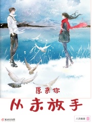 淘宝a 全部视频分类