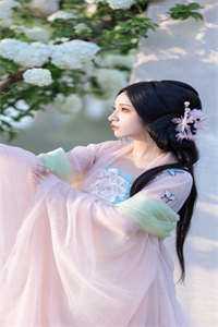 糟糠之妻俱乐部国语