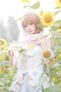 菠萝菠萝蜜