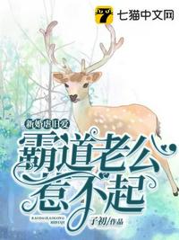 k频道网红视频网络分享