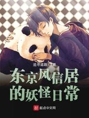 战双帕弥什瓦尔基里