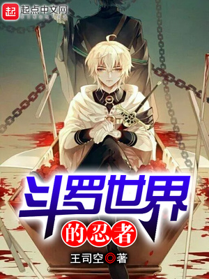 燃气壁挂炉