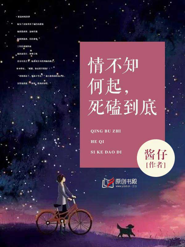 长空之王