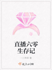 恭王府丫鬟日常小说