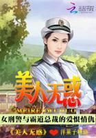 华夏无神明的小说