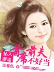追星星的人第二季
