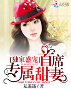 x龙时代小说下载