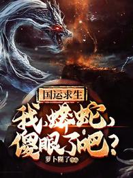 爱丽丝本子