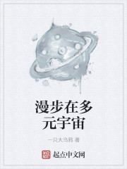 风月大陆txt下载