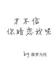 卫生间玻璃门