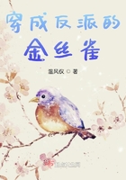 丝瓜影视官网