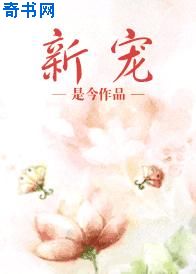 论理性与满足