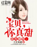 功夫在什么播放器中免费