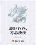 h小游戏合集