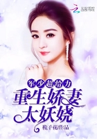 小王妃又挨揍了