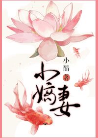 快穿之名器娇妻一女n男h