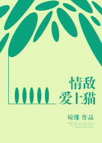 我不卡神马影院