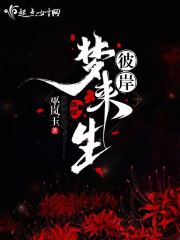 美女毛片视频