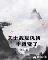 FlashPlayer播放器