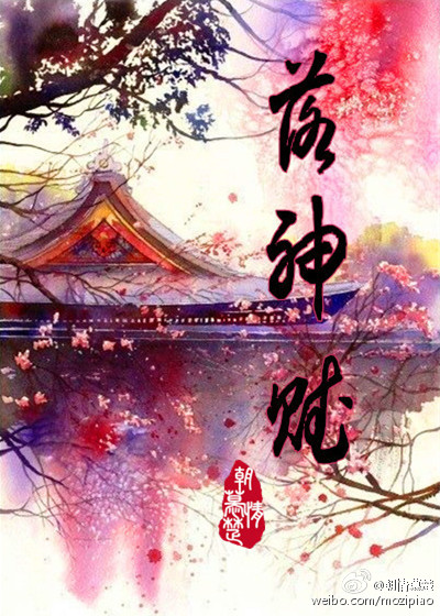 妻子的面具