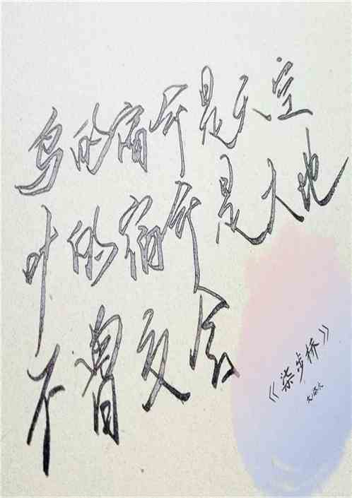 椰梨撞奶的书