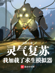 房奴试爱mp4