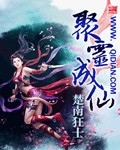 竹夫人电影2828
