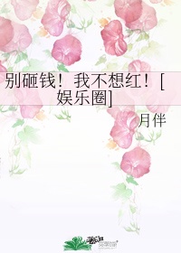 叶辰苏雨涵