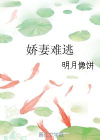 你的女人电视剧全集免费观看结局