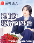 猫鼠游戏动漫免费观看