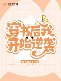老师系列
