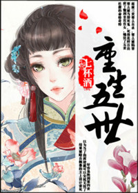 阿宾正传第二部目录