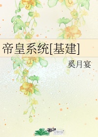 言情小说888