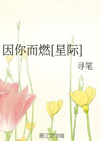 决战江桥电视剧全集免费观看
